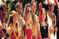 Waikiki Pearl Harbor, Dole Plantation & Polynesian Center Tour thumbnail 5