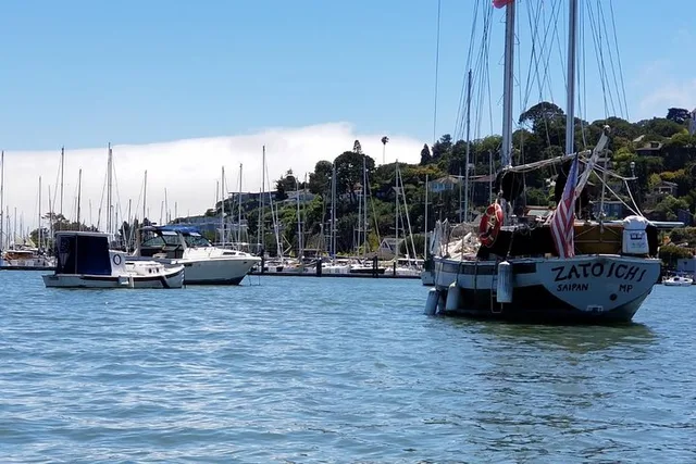 San Francisco Muir Woods and Sausalito Tour Half Day - Image 5