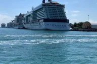 Miami Water Taxi Tour thumbnail 4