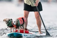 Marina del Rey Kayak and Paddleboard Tour thumbnail 2
