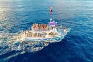 Honolulu Whale Watching Cruise with Snacks thumbnail 5