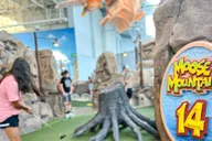 Bloomington Mini Golf Adventure at Moose Mountain 1 hr thumbnail 1