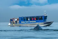 Juneau Whale Watching and Salmon Bake thumbnail 3