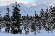 Seward Snowshoeing Adventure thumbnail 2
