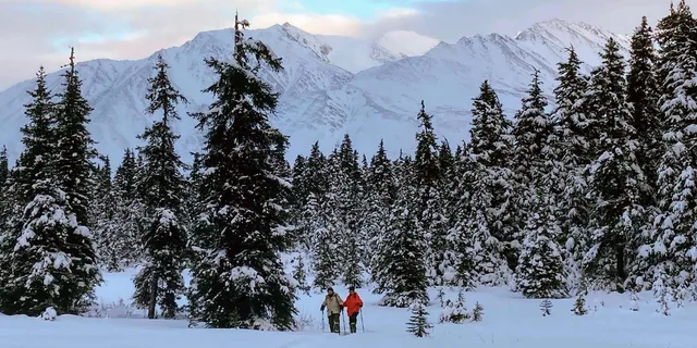Seward Snowshoeing Adventure - Image 2