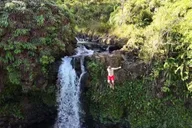 Maui Sea Turtle and Waterfalls Tour thumbnail 3