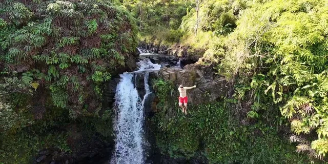 Maui Sea Turtle and Waterfalls Tour - Image 3