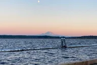 Seattle Lake Union Private Water Cruise thumbnail 6