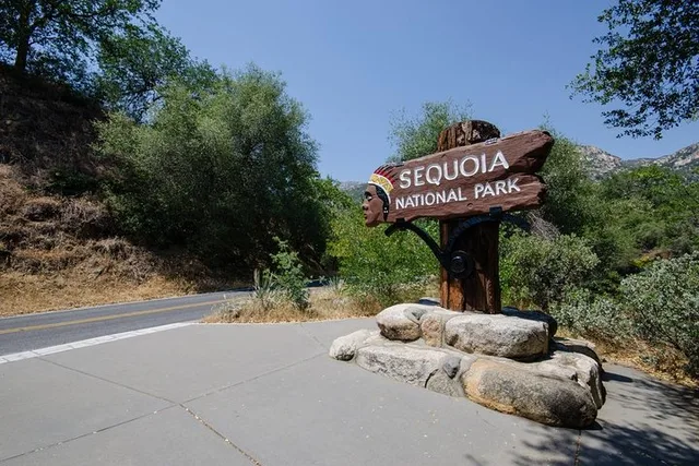 Sequoia Park Private Tour - Image 1