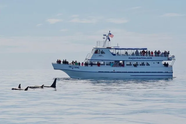 Seward Orca Quest Cruise 4 hr - Image 2