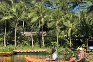Kauai Wailua River Kayak and Waterfall Adventure thumbnail 6