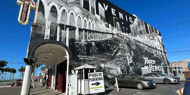 Venice Beach Walking Tour in French 3 hr - Image 1