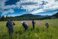 Seward to Anchorage Scenic Photo Tour thumbnail 2