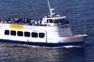 Long Beach Harbor Boat Tour thumbnail 4