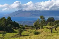 Maui Private Island Tour with Snorkeling 7 hr thumbnail 4