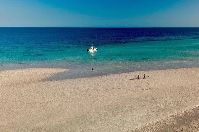 Key West Sandbar Charter & Island Escape - Image 5