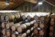 Napa and Sonoma Wine Tour thumbnail 4
