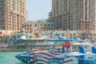 Destin Speedboat Tour with Dolphin Watching thumbnail 2