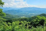 Pigeon Forge Smoky Bear Discovery Tour 3 hr thumbnail 2