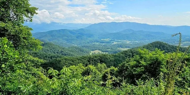 Pigeon Forge Smoky Bear Discovery Tour 3 hr - Image 2