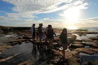 San Diego Tide Pool Exploration with Marine Biologist thumbnail 2