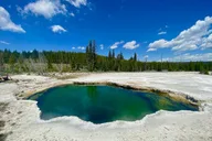 West Yellowstone Wildlife and Geyser Tour thumbnail 4
