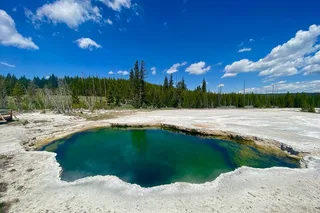 Yellowstone Geyser Basin Tour