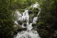 Asheville Waterfalls Hike 4 hr thumbnail 2