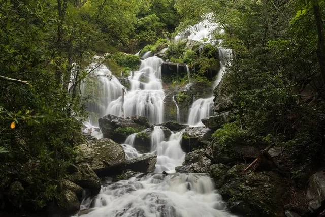 Asheville Waterfalls Hike 4 hr - Image 2