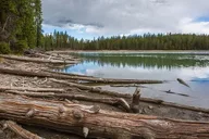 Yellowstone Clear Lake Loop Day Hike thumbnail 1