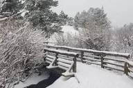 Estes Park Winter Tour in Rocky Mountain National Park thumbnail 5