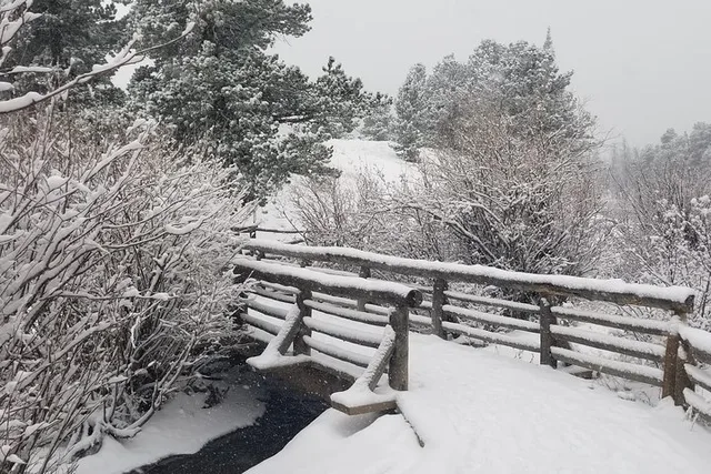 Estes Park Winter Tour in Rocky Mountain National Park - Image 5