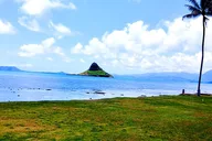 Oahu Circle Island Tour with Snorkeling thumbnail 4