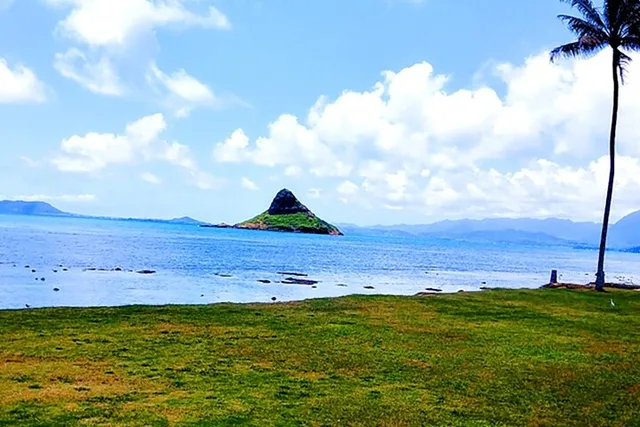 Oahu Circle Island Tour with Snorkeling - Image 4