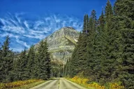 San Francisco Yosemite National Park Private Day Tour thumbnail 2