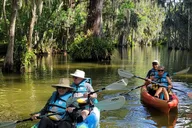 Dora Canal Paddle to Brunch Adventure thumbnail 2