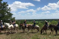 Austin Horsemanship Trail Ride 3.5 hr thumbnail 1