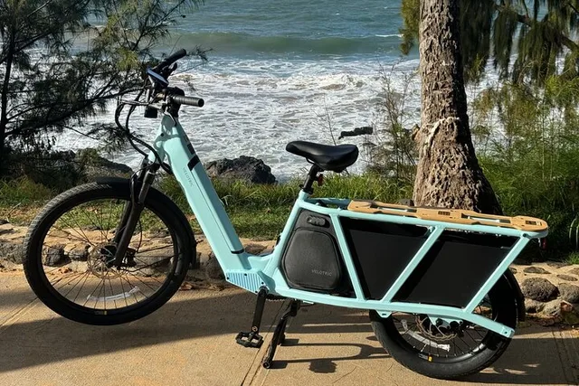 Maui Electric Bike or Scooter Tour - Image 5