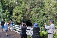 Hilo Volcano National Park Private Excursion thumbnail 4