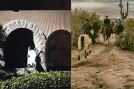 Scottsdale Horseback Riding Tour thumbnail 2