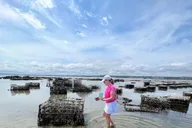 Plymouth Oyster Farm Boat Tour with Tasting thumbnail 1