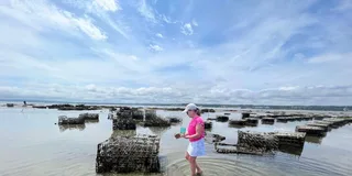 Plymouth Oyster Farm Boat Tour with Tasting