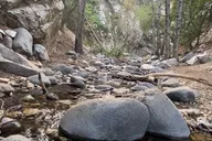 Los Angeles Forest Waterfall Hiking Tour thumbnail 2
