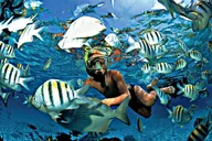 Fort Lauderdale Beach Snorkel & Paddle Adventure thumbnail 5