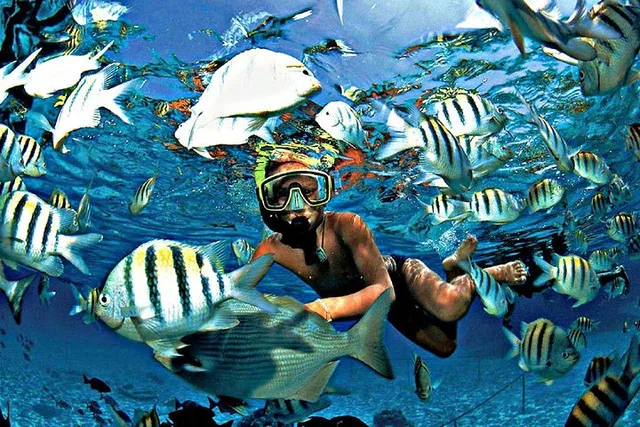 Fort Lauderdale Beach Snorkel & Paddle Adventure - Image 5