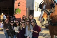 Charleston Historic Horse and Carriage Tour thumbnail 3