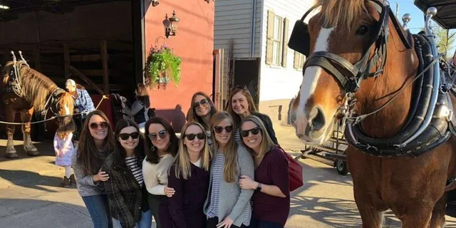 Charleston Historic Horse and Carriage Tour - Image 3
