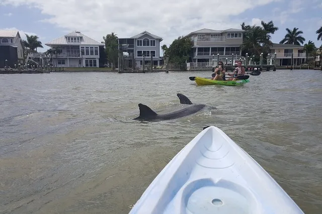 Fort Myers Beach Kayak or SUP Rental at Pelican Bay 3 hr - Image 4