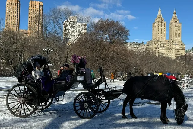 New York City Horse Carriage Ride in Central Park - Image 4