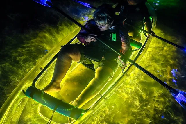 Corpus Christi Kayak Tour at Night - Image 5